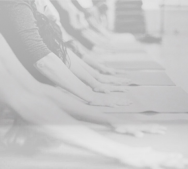 TARIFAS IYENGAR® Yoga-Leku (Donostia-Centro)